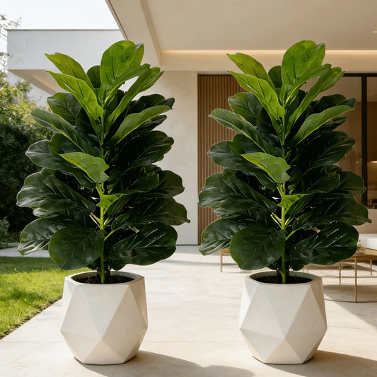 3ft Artificial Fiddle Leaf Fig Tree 2 Pack with White Geometric Pot, Realistic Fake Plant for Home Office Indoor Outdoor Decor